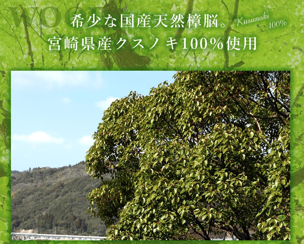 樟脳説明⓵