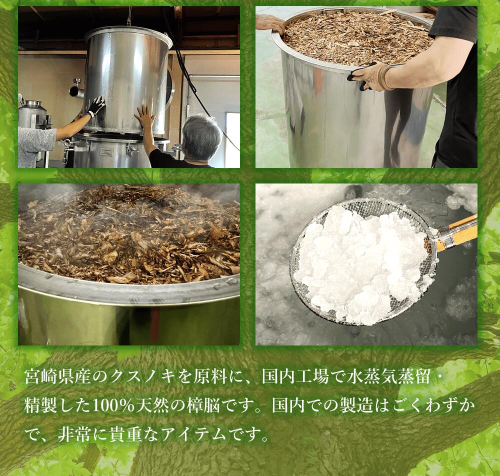 樟脳説明②