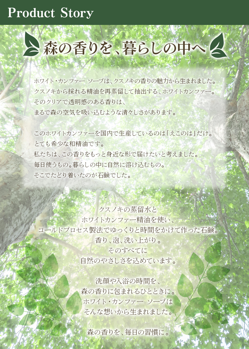 Productstory