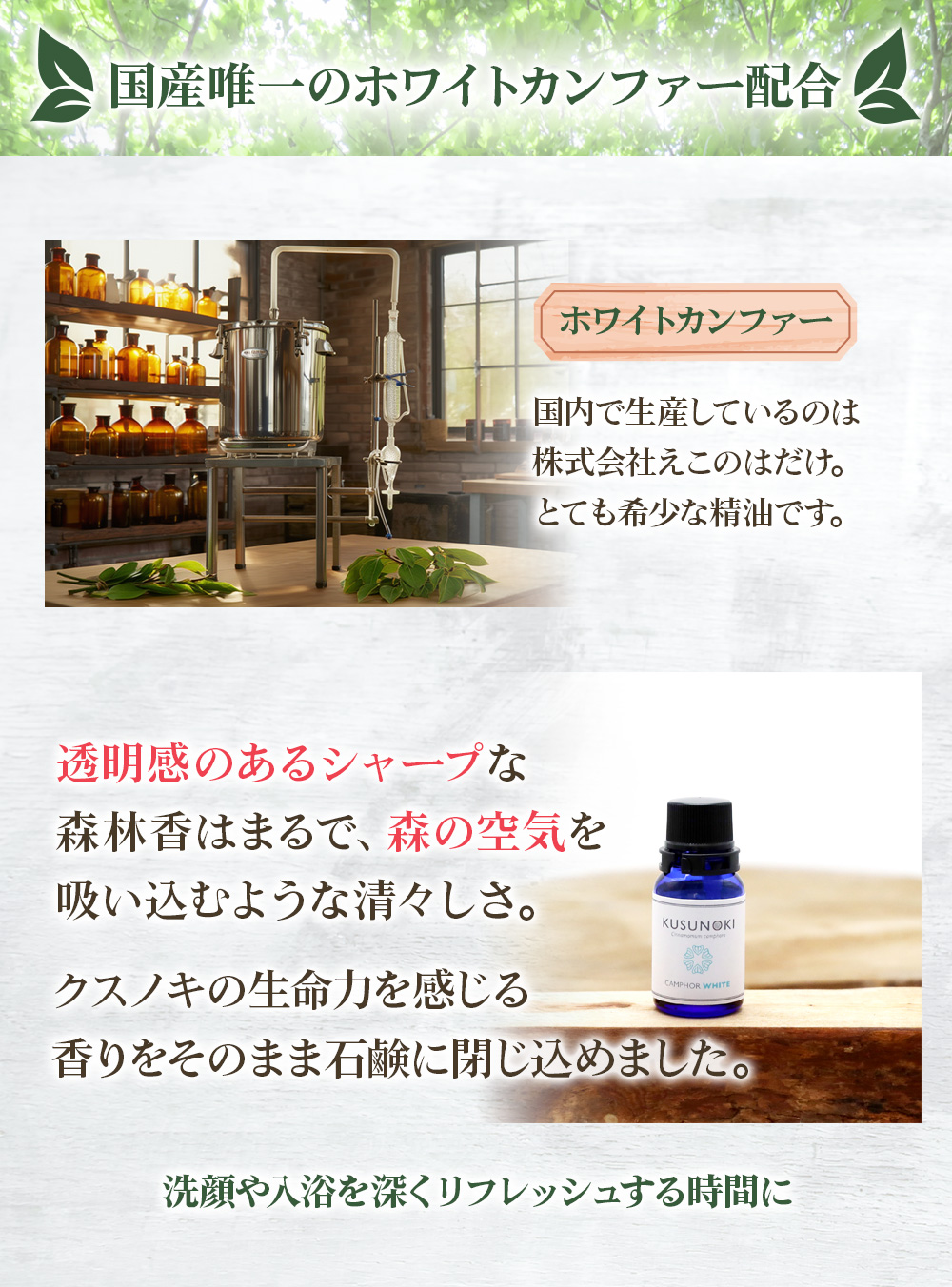 国内唯一のホワイトカンファー配合