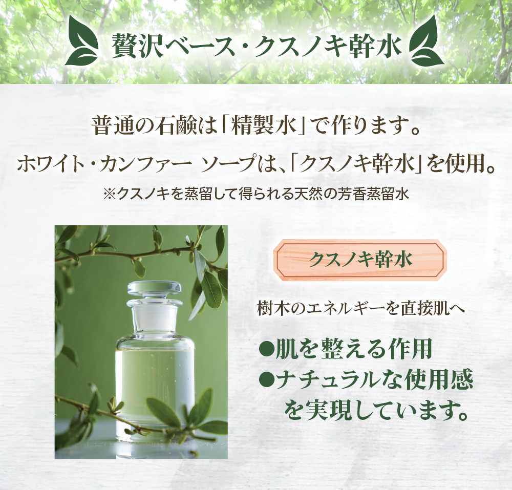 贅沢ベース・クスノキ幹水