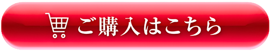 ご購入はこちら
